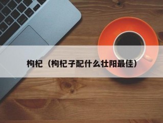 枸杞（枸杞子配什么壮阳最佳）