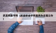 武昌职业学院（武昌职业学院是民办还是公办）