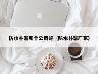 防水补漏哪个公司好（防水补漏厂家）