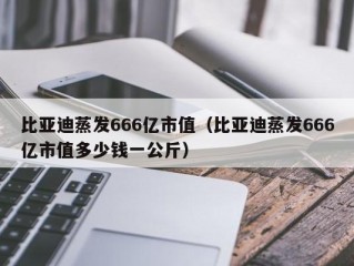 比亚迪蒸发666亿市值（比亚迪蒸发666亿市值多少钱一公斤）