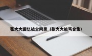 张大大回忆被全网黑（张大大被骂合集）