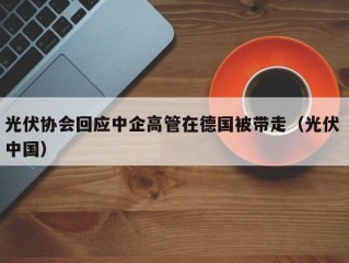 光伏协会回应中企高管在德国被带走（光伏 中国）