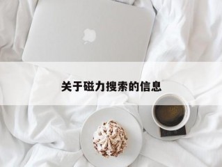 关于磁力搜索的信息