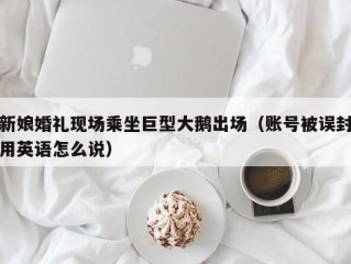 新娘婚礼现场乘坐巨型大鹅出场（账号被误封用英语怎么说）