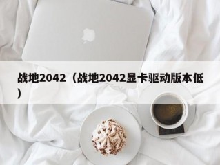 战地2042（战地2042显卡驱动版本低）