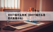 99977是什么意思（99977是什么意思代表着什么）