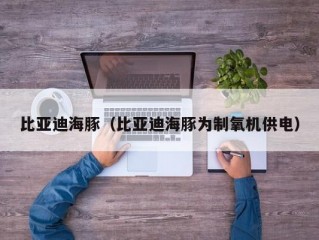 比亚迪海豚（比亚迪海豚为制氧机供电）