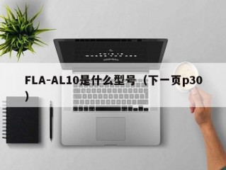 FLA-AL10是什么型号（下一页p30）