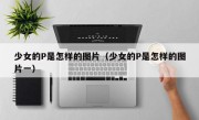 少女的P是怎样的图片（少女的P是怎样的图片一）