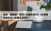 云南“健身猪”走红一头最高卖8万（云南健身猪走红一头最高卖8万）