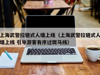 上海武警拉链式人墙上线（上海武警拉链式人墙上线 引导游客有序过斑马线）