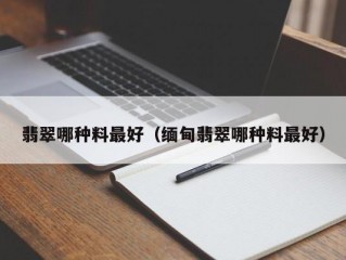 翡翠哪种料最好（缅甸翡翠哪种料最好）