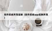 软件系统开发定制（软件系统app定制开发）