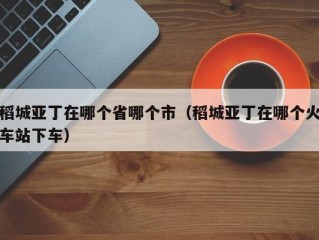 稻城亚丁在哪个省哪个市（稻城亚丁在哪个火车站下车）