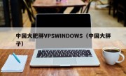 中国大肥胖VPSWINDOWS（中国大胖子）