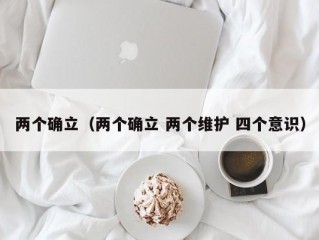 两个确立（两个确立 两个维护 四个意识）