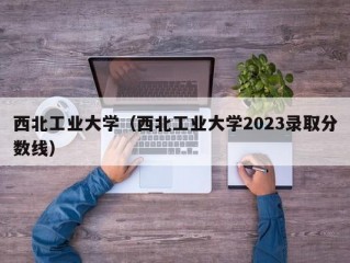 西北工业大学（西北工业大学2023录取分数线）