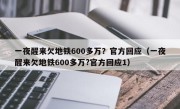 一夜醒来欠地铁600多万？官方回应（一夜醒来欠地铁600多万?官方回应1）