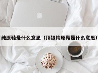 纯原鞋是什么意思（顶级纯原鞋是什么意思）