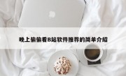 晚上偷偷看B站软件推荐的简单介绍