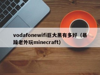 vodafonewifi巨大黑有多好（暴躁老外玩minecraft）