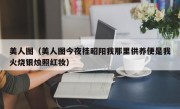 美人图（美人图今夜挂昭阳我那里供养便是我火烧银烛照红妆）