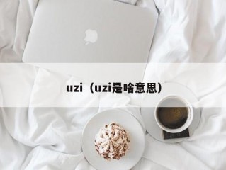 uzi（uzi是啥意思）