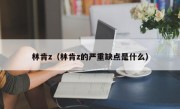 林肯z（林肯z的严重缺点是什么）