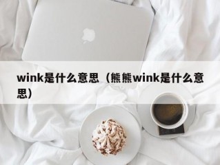 wink是什么意思（熊熊wink是什么意思）