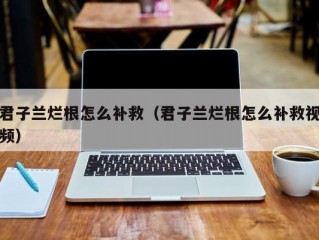 君子兰烂根怎么补救（君子兰烂根怎么补救视频）