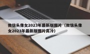 微信头像女2023年最新版图片（微信头像女2023年最新版图片高冷）