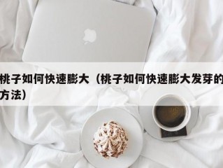 桃子如何快速膨大（桃子如何快速膨大发芽的方法）