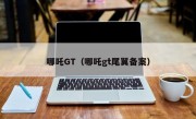 哪吒GT（哪吒gt尾翼备案）