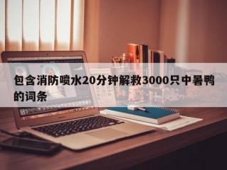 包含消防喷水20分钟解救3000只中暑鸭的词条