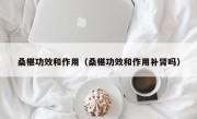 桑椹功效和作用（桑椹功效和作用补肾吗）