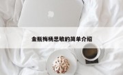 金瓶梅杨思敏的简单介绍