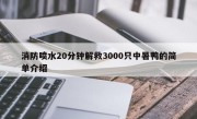 消防喷水20分钟解救3000只中暑鸭的简单介绍