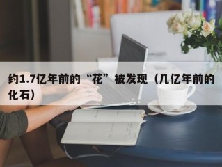 约1.7亿年前的“花”被发现（几亿年前的化石）