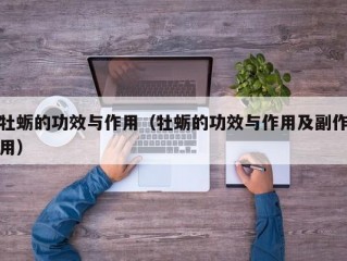 牡蛎的功效与作用（牡蛎的功效与作用及副作用）