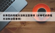 长寿花的养殖方法和注意事项（长春花的养殖方法和注意事项）