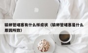 输卵管堵塞有什么样症状（输卵管堵塞是什么原因所致）