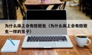 为什么床上会有隐翅虫（为什么床上会有隐翅虫一样的虫子）