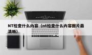 NT检查什么内容（nt检查什么内容图片最清晰）