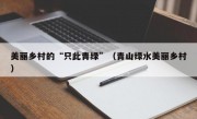 美丽乡村的“只此青绿”（青山绿水美丽乡村）