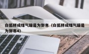 白狐胖成煤气罐是为御寒（白狐胖成煤气罐是为御寒4）