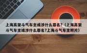 上海高架斗气车主或涉什么罪名?（上海高架斗气车主或涉什么罪名?上海斗气车主照片）