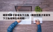 曝郑恺妻子苗苗生下三胎（曝郑恺妻子苗苗生下三胎视频在线观看）