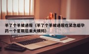 羊了个羊被通报（羊了个羊被通报吃紧急避孕药一个星期后来大姨妈）