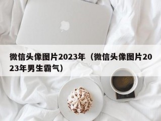 微信头像图片2023年（微信头像图片2023年男生霸气）