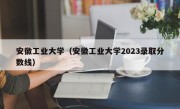 安徽工业大学（安徽工业大学2023录取分数线）